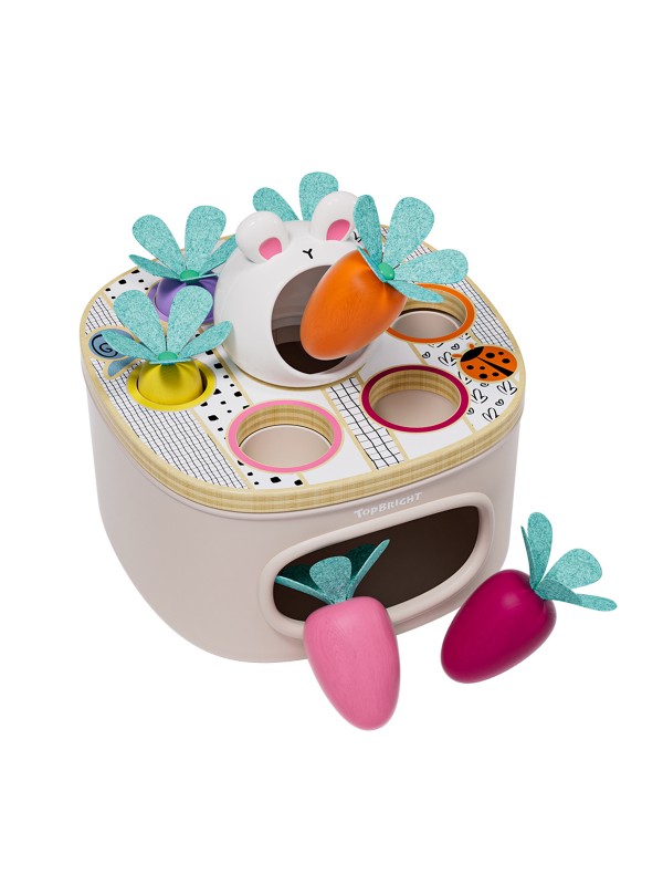 Match & Sort Carrots