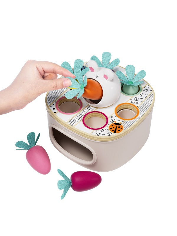 Match & Sort Carrots