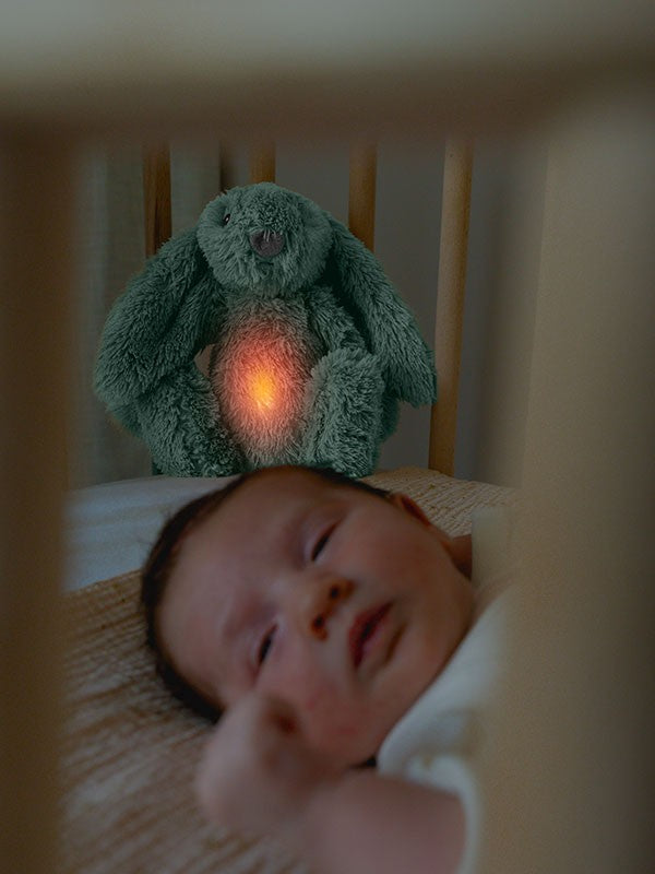 Zazu Slaaphulp Ro Konijn | Groen