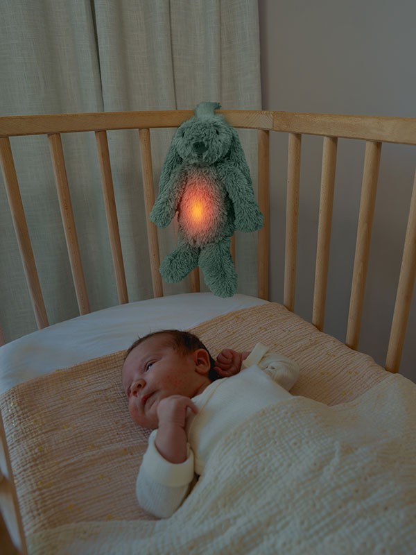 Zazu Slaaphulp Ro Konijn | Groen