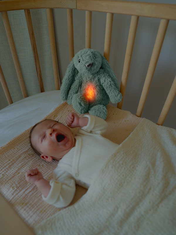 Zazu Slaaphulp Ro Konijn | Groen