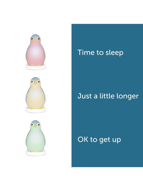 Zazu Slaaptrainer Pam Pinguin | Groen