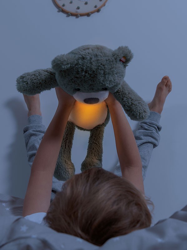 Zazu Slaaptrainer Brody Bear | Groen